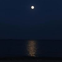 O深海O照片