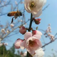 梦幻园照片