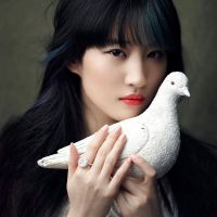 倾城的小鹿716照片