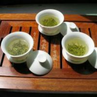 春江戏水照片
