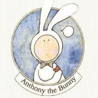 Bunny Q🐰照片