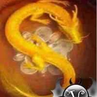 博总V5照片