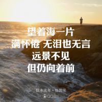 ——几许风雨照片