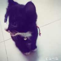 你妹的哈哈哈哈嘻嘻嘻嘻照片