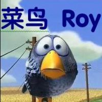 1980年代的爱情 - 菜鸟Roy