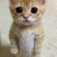 Hey-伊照片