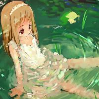 夏夜♪照片