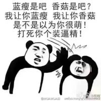 雨点Xe照片