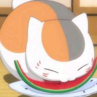 🍉吃西瓜的猫🐱🍉照片