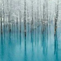 雪凝寒江照片