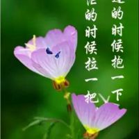 baoabx照片