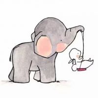 钱·多多照片