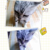 lucky  ～(￣▽￣)~照片