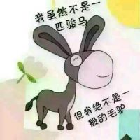 梁山🔹佳伟☞尊师罂晨照片