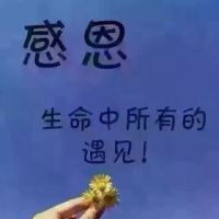 无名朝照片