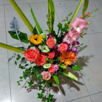 精灵鼠小弟2014照片