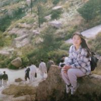 春又来    树还在照片