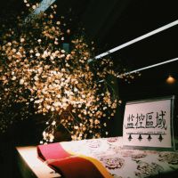 su 🌱白衬衫照片