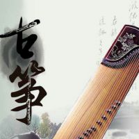 中国古筝网照片