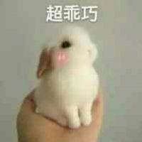 慕洛雲照片