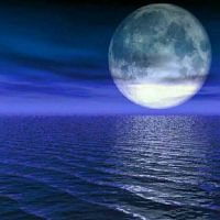 🐰溪亭晚月🐰照片