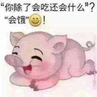 零度的眼泪93照片