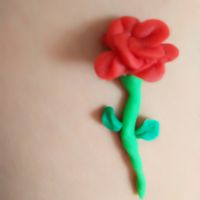 Mora_梦半仙照片