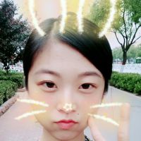 linnvega照片