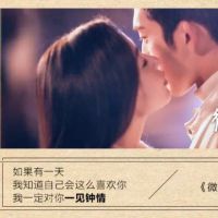 追日不曾离开照片