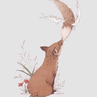 我此生不遇海照片