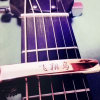 🎸  飞翔鸟照片