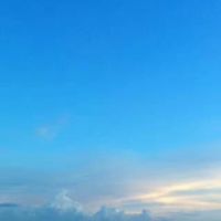 痴 人 说梦。照片