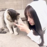 🐱🐱13照片