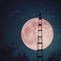 仲夏夜@Amazing-soul照片