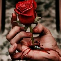 死 了 .照片